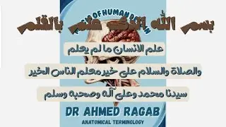 الترمنولوجي في 20 دقيقة بس 🚀 | د احمد رجب