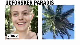UDFORSKER PARADIS - vlog 2