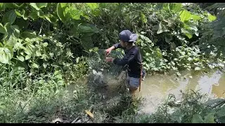 Dapat ikan besar diperangkap & menemukan sarang lebah yang besar🤤 #KOOKIKO
