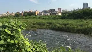 Asakawa River in Owadamachi, Hachioji-shi in late August