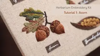 Herbarium Autumn Seeds Embroidery Kit Tutorial 1 - Acorn