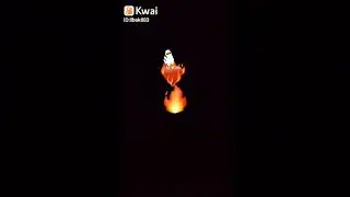 pato