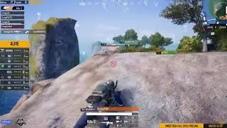 Team  IND Second chicken Dinner Day-3 || PMCO Finals fallsplit.