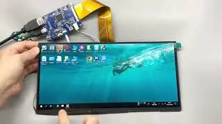 11.7'' Display Module &ndash; High-Resolution Screen for Custom Integration
