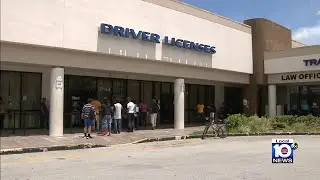 Florida invalidates special driver&rsquo;s licenses from 5 states following new immigration laws