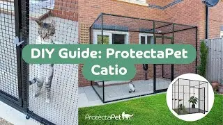 🐱🔧 DIY Guide: How to Install ProtectaPet Catio