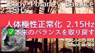 🔴Human body polarity normalization 2.15 Hz｜Silent series.