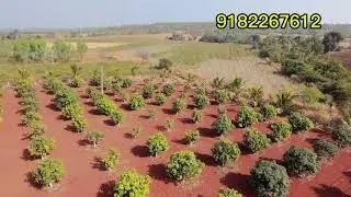 5#acer #mango garden #farm house land for sale #patancheru #nh65#sangareddy #zaheerabad# Mandal