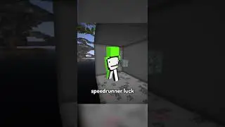 The Biggest Diamond Vein in Minecraft