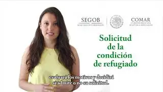 Guía del proceso de solicitud de refugio en COMAR