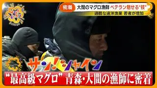 【密着】大間のマグロ漁師「一番マグロは“勲章”」 ベテランが魅せる“技” 「高収入」遠洋マグロ漁目指す若者増加なぜ？【サン！シャインニュース】