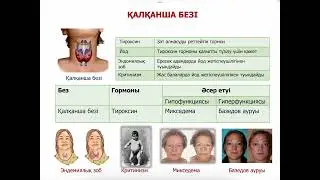 Гормондар арқылы гуморалды реттелу