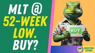 MLT Plummets: Is the Bottom Near?  |   The Investing Iguana 🦖