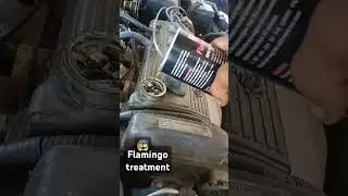 Old engine new flamingo oil treatment oil #automobile #mechanist