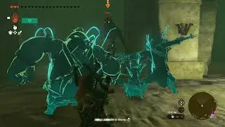 TLOZ: Tears of the Kingdom (152)- Ancient Prison Ruins, Chichim Shrine: Rauru's Blessing