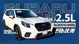 北美奶爸真实分享！斯巴鲁森林人2.5L用车日常｜萝卜北美