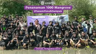 Pentingnya Mangrove untuk Kesejahteraan Lingkungan & Masyarakat Pesisir Pantai #TanamPenuhDampak