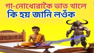 গা নোলোৱাকৈ ভাত খালে কি হয়?কোন দিশে মানুহে মল মূত্ৰ ত্যাগ কৰিব লাগে ?//Assamese Motivational Video/