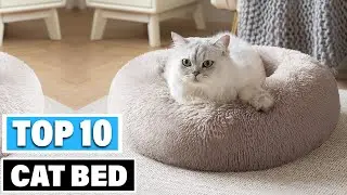 Best Cat Bed In 2025- Top 10 Cat Beds Review