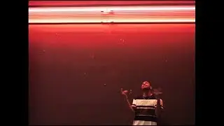 Zee Will - GLOW ( Music Video )