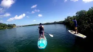 Paddleboarding (SUP) in the Mangroves - Florida Keys