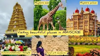 Day 6 Maysore-Visiting best places in Maysore/Maysore Palace/Maysore Zoo/Chamumdeshwari Temple #vlog