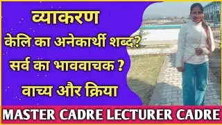 कक्षा 29 हिंदी व्याकरण 30 प्रश्न HINDI MASTER CADRE LECTURER CADRE NTA NET DSSSB TGT PGT HINDI