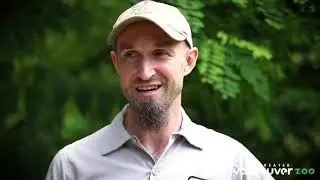 #NZKW2020 National Zookeeper Week at GVZoo