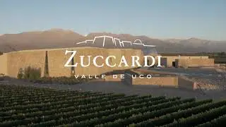 WORLD´S BEST VINEYARD 2019, 2020 & 2021