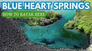How To Visit Blue Heart Springs, A Hidden Oasis near Twin Falls Idaho!
