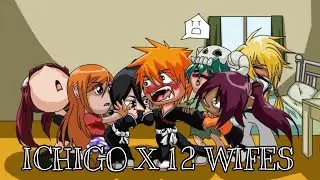 What If Ichigo Had 12 Wifes