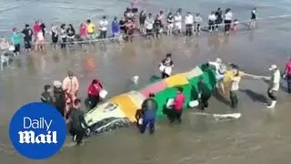 Community in Argentina comes together to save humpback whale - Daily Mail
