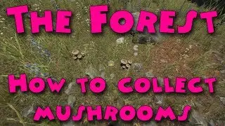 The Forest - How to collect mushrooms