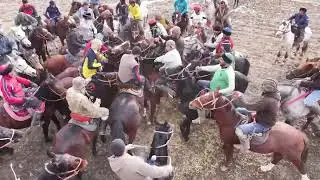 Бузкаши 25.01.2026 Мастчохи кухи