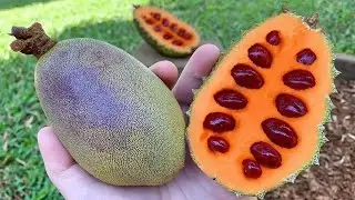 30 Exotic Fruits You’ve Never Seen Before