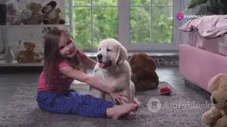 Essential Pet Care Tips!