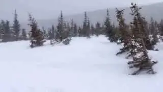 Snowshoeing Brainard Lake