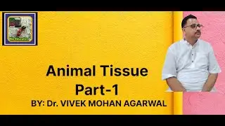 Animal tissue Part 1 (Epithelial tissue)
