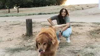 Hello guys |  Emotional Update