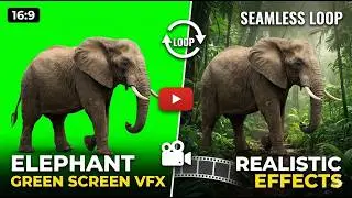 🐘 Elephant Green Screen VFX - seamless loop  Realistic Green Screen Effects 🌍 #freevfx