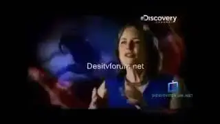 Nature's Deadliest Funnel Wed Spider The Video Online 1