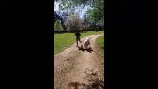 Healing Path Farm - Intro (Athens, Georgia)