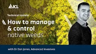 How to manage and control native invasive weeds in the UK & Ireland