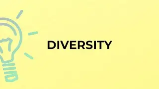 What is the meaning of the word DIVERSITY?