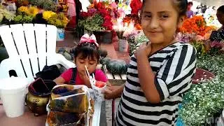 TEJUPILCO Y SU MERCADO DE DÍA DE MUERTOS.