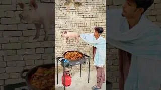 Halal animals l, halal use, power of Muslim, #halal #halalfoods #animals #produkhalal #viral #yt