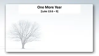 One More Year