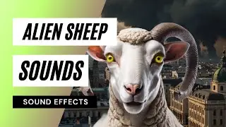 Alien Sheep Sounds - alien talking sound effect