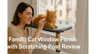 🐱 Famifit Cat Window Perch with Scratching Post Review 🐾