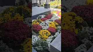 94 322 6544